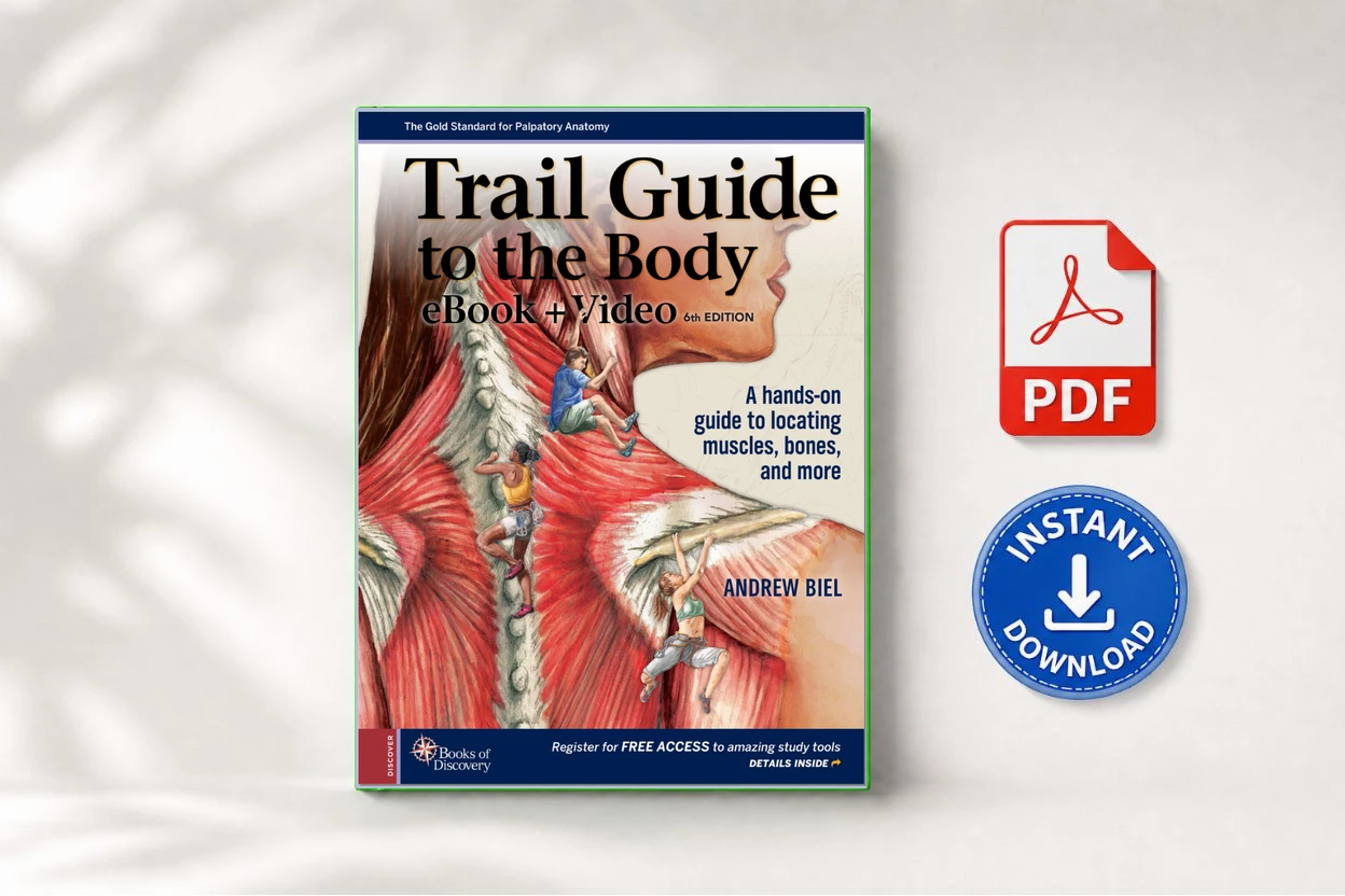 Trail Guide to the Body 6th Edition